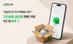 중고나라, 2026년 상반기 고미술품·골동품 거래액 183% 급증…택배거래 비중 57% 돌파